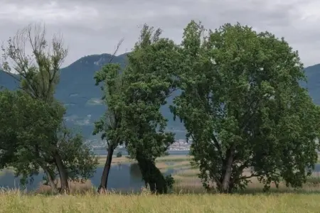 Casa dei Nonni, Villa climatisée près du lac d'Iseo - Photo 36