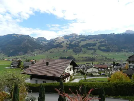 Weidli, Chalet, Appartement 4 personnes à Zweisimmen - Photo 8
