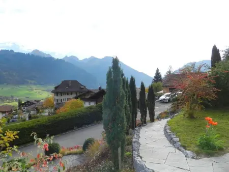 Weidli, Chalet, Appartement 4 personnes à Zweisimmen - Photo 9