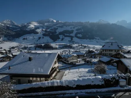 Weidli, Chalet, Appartement 4 personnes à Zweisimmen - Photo 11