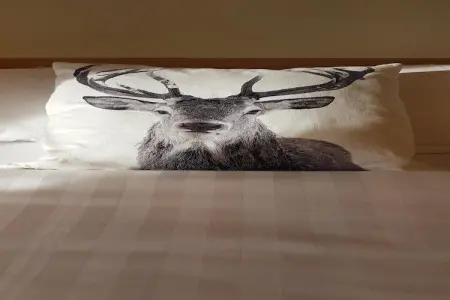 La roulotte des Ardennes, Séjour tranquille à Vielsalm - Photo 30