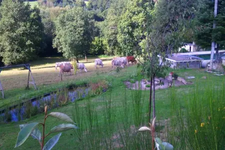 Holiday home Virlet, Maison près de la capitale de la truffe Aups - Photo 23