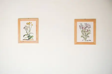 Ginepro, Appartement dans une maison de vacances - Photo 38