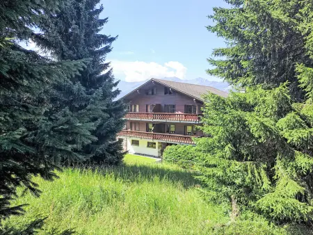 Diure 0113, Appartement 2 personnes à Verbier - Photo 20