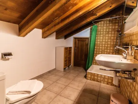 Sportina DG 4. OG Süd, Appartement 8 personnes à Riederalp - Photo 55