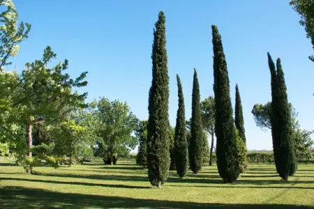 Villa La Commenda Nove, Escapade en famille en Émilie-Romagne - Photo 34