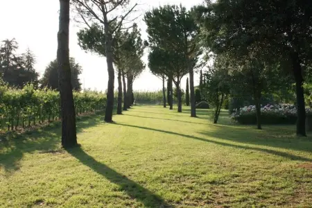 Villa La Commenda Nove, Escapade en famille en Émilie-Romagne - Photo 36