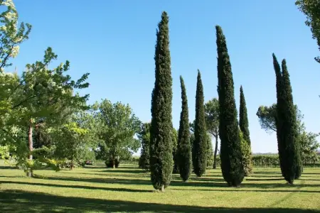 Villa La Commenda Sei, amis à fourrure avec une maison familiale - Photo 34