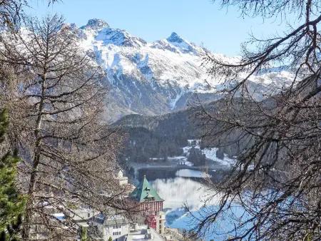 Chesa Cripels II, Appartement 4 personnes à St. Moritz - Photo 18