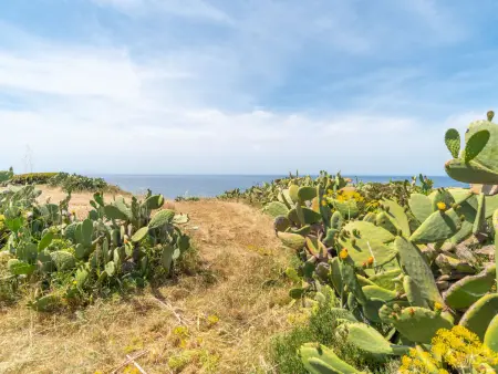 Ananas 4 D, Appartement 4 personnes à Valledoria - Photo 18