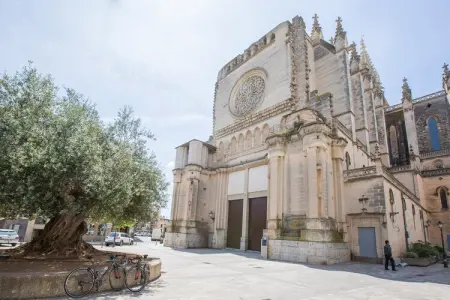Casa Puig De Na Franquesa, Maison à Manacor avec piscine et BBQ - Photo 34