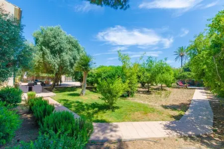 Hort de Can Bou, Finca à Porreres avec Piscine Naturelle - Photo 9