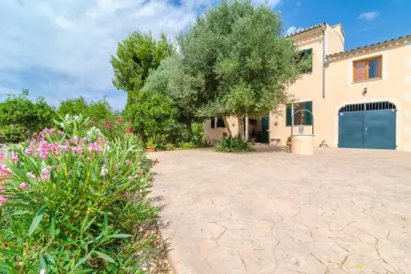 Hort de Can Bou, Finca à Porreres avec Piscine Naturelle - Photo 30
