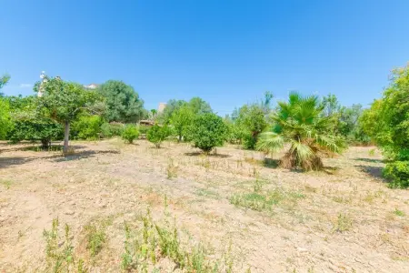 Hort de Can Bou, Finca à Porreres avec Piscine Naturelle - Photo 41