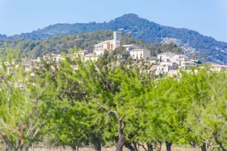 Ses Planes (ca Na Faustina), Retraite et piscine Tramuntana - Photo 15