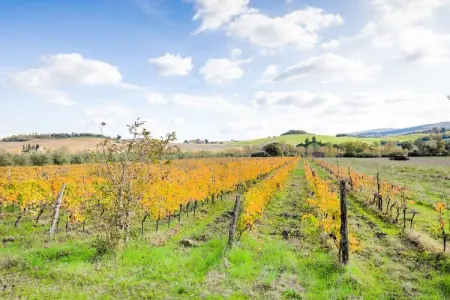 La Casa dei Nonni, Maison de campagne familiale en Toscane - Photo 21