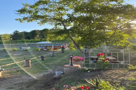 La Casa dei Nonni, Maison de campagne familiale en Toscane - Photo 25