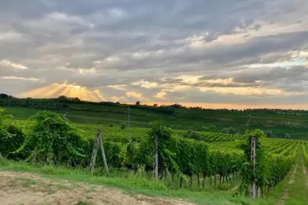 La Casa dei Nonni, Maison de campagne familiale en Toscane - Photo 36