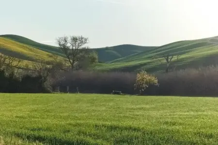 La Casa dei Nonni, Maison de campagne familiale en Toscane - Photo 38