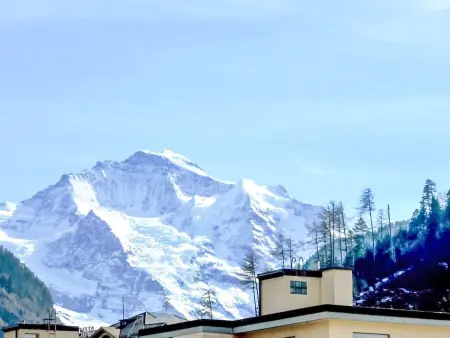 Elegance, Appartement 4 personnes à Interlaken - Photo 24