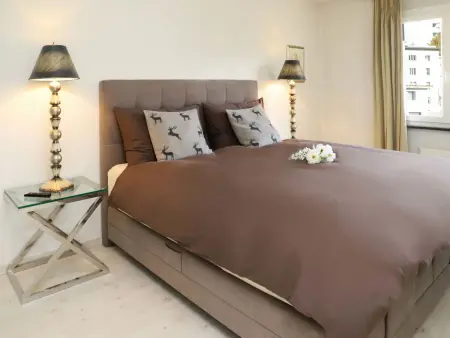 Allod Park Haus C 401, Appartement 4 personnes à Davos - Photo 2