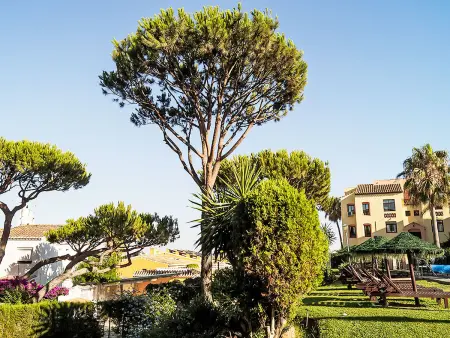 Dona Lola, Appartement 6 personnes à Calahonda - Photo 32