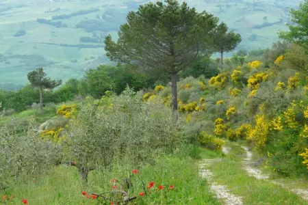 Casa Cristina, Escapade paisible au sommet d'une colline - Photo 19