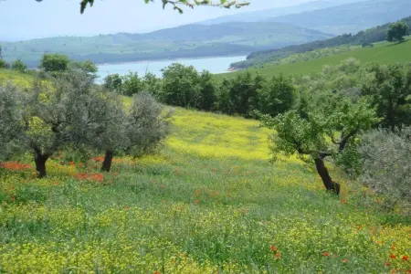 Casa Cristina, Escapade paisible au sommet d'une colline - Photo 24