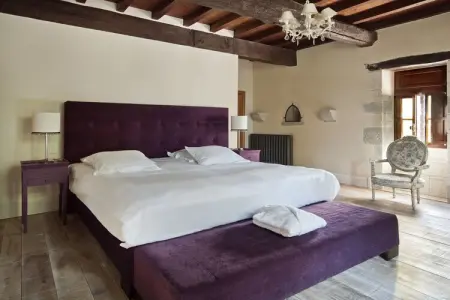 Château la Colombie, Château en Nouvelle-Aquitaine avec piscine & vue - Photo 13