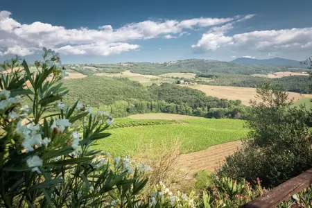 Villa Giovanna, Villa Belle Vue : un charme - Photo 34
