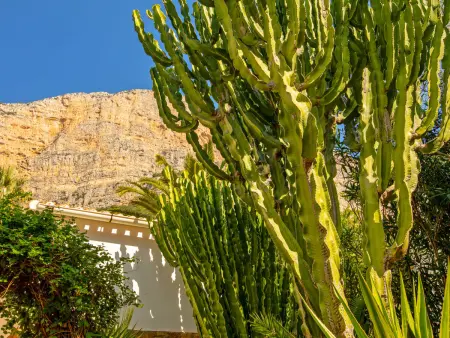 Petite Fleur, Maison 4 personnes à Javea - Photo 36