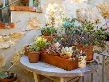 Petite Fleur, Maison 4 personnes à Javea - Photo 48