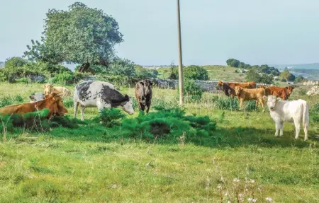 Casa Pirato, Maison 4 personnes à Modica - Photo 15