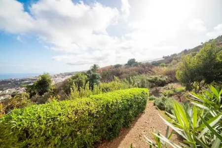 La Bodega, Maison à Icod avec Vue sur la Plage - Photo 19