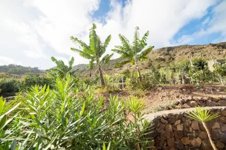 La Bodega, Maison à Icod avec Vue sur la Plage - Photo 23