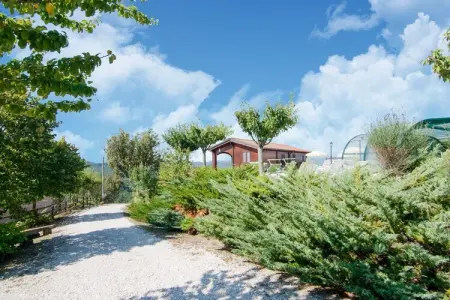 Amarena, Ferme à Apecchio avec vue panoramique - Photo 24