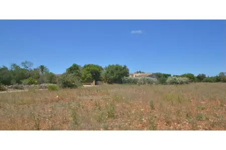 Xim Vell, Villa de campagne et jardin - Photo 35
