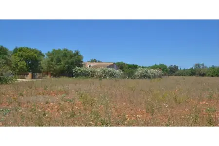 Xim Vell, Villa de campagne et jardin - Photo 36