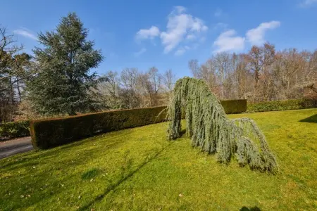 La Maison Albizzia, Maison à Périgord près des villages médiévaux - Photo 16