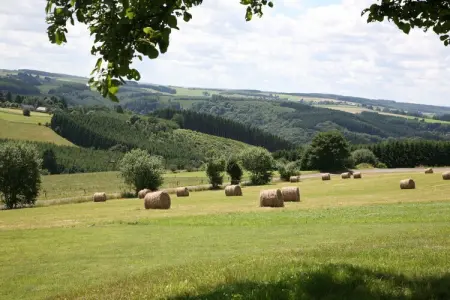 Le Sanglier, Maison de vacances à Nadrin avec terrasse privée - Photo 26