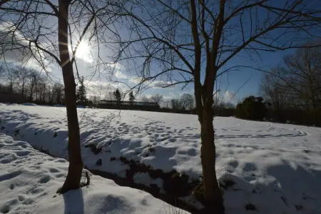 Le Spinetty, Gîte près du parc naturel des Hautes Fagnes - Photo 28