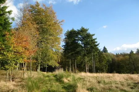 Les Rochettes Pluton 3, Maison dans les Ardennes avec Sauna - Photo 19