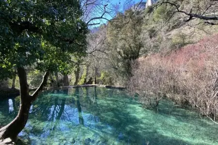 Les Sources de Manon 2, Escapade en Ardèche avec animaux de compagnie - Photo 29