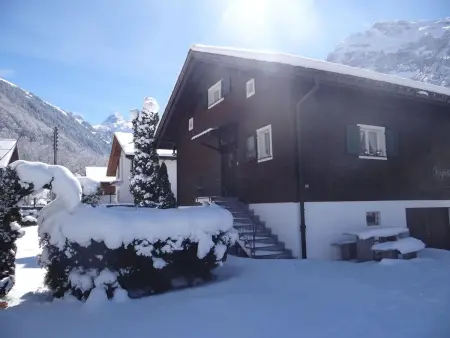 Chalet Fluegärtli, Appartement 6 personnes à Engelberg - Photo 3