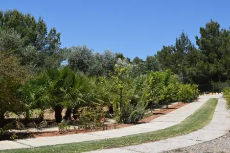 Can Cova, Villa à Sant Josep près de Cala Jondal - Photo 31