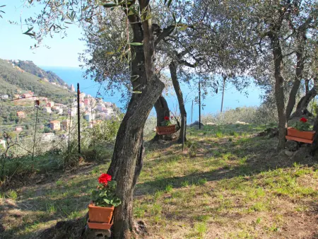 Italo, Maison 4 personnes à Zoagli - Photo 20