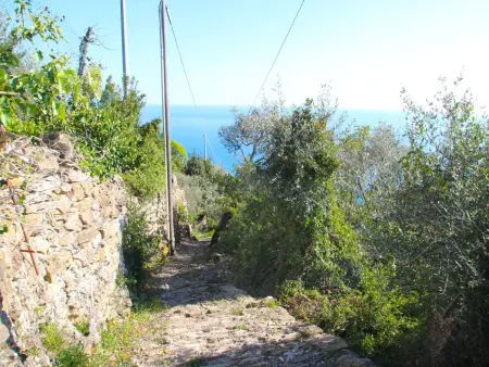 Italo, Maison 4 personnes à Zoagli - Photo 28