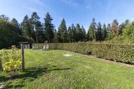 Chalet Bleu, Chalet luxuriant près du lac de Bütgenbach - Photo 35