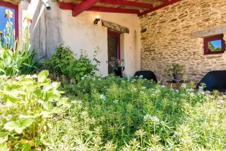 Altillac - Le Combelle, Maison de vacances à Altillac avec piscine privée - Photo 3