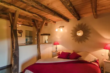 Altillac - Le Combelle, Maison de vacances à Altillac avec piscine privée - Photo 19